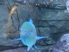 -欢乐海岸海洋奇梦馆