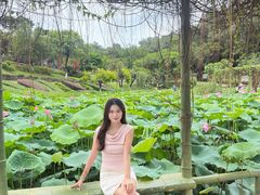 -广州莲花山旅游区