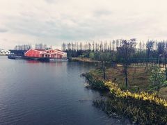 -上海长兴岛郊野公园