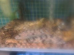 -77号渔船·蒸海鲜青岛菜(积米崖店)