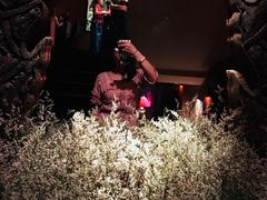 -花马天堂云南餐厅 Lost Heaven(高邮路店)