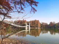 -东湖落雁景区