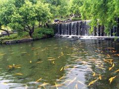 -丽江玉水寨