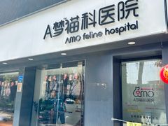-御宝贝·A梦猫科宠物医院(国际猫友好医院)