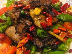 回锅香辣牛肉-圣厨牛腩(青春岛社区玉寿苑店)