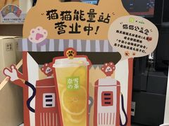 -奈雪的茶(天河城店)