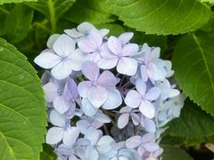 -菲鱼体育恒温游泳馆(中海名城店)