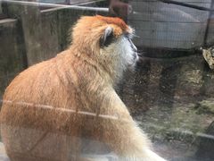 -昆明动物园