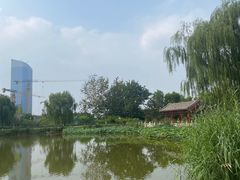 -西海子公园