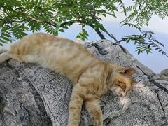 -北京小汤山医院体检中心