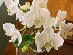 -南堂馆·新川菜(春熙路店)