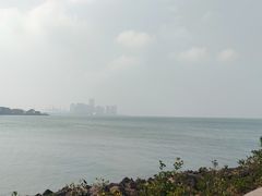 -万绿园