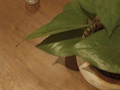 -常乐·对症推拿(解放碑英利大融城店)