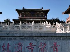 -西安乐游原