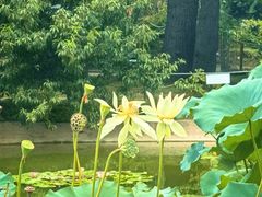 -国家植物园南园