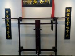 -温鉴良实用咏春拳