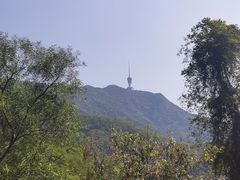 -深圳仙湖植物园