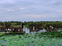 -洪湖生态旅游区