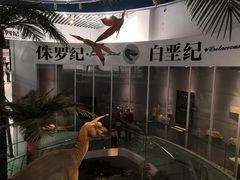 -烟台自然博物馆
