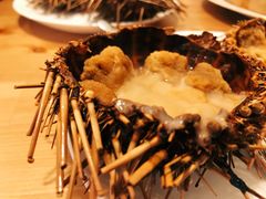 -海胆小馆(东北水饺·春柳店)