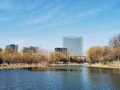 -大兴滨河森林公园