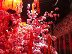 -鸡毛店·川菜(双楠店)