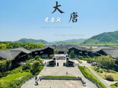 -大唐贡茶院