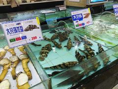 水产区-渔民新村(番禺总店)