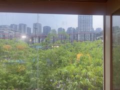 -生如夏花泰式火锅(西村黑金店)