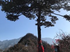 -秦岭终南山世界地质公园翠华山景区