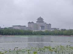 -莲花池公园