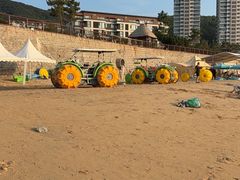 -码头鲜精致威海菜(欧乐坊店)