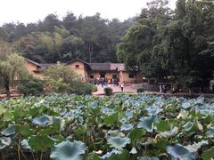 -韶山毛泽东同志故居