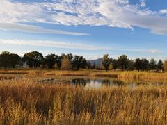 -野鸭湖国家湿地公园