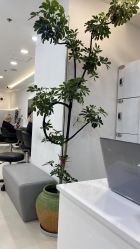 -HaLo hair studio