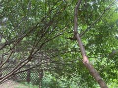 -泗洪洪泽湖湿地景区