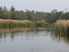 -前关湿地公园