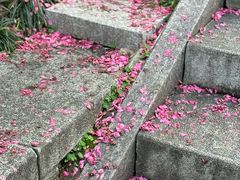 -乌山风景区