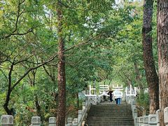 -灵岩山风景区