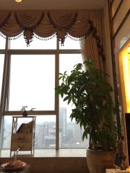 -ＤＯＭＯプロの美容サロン