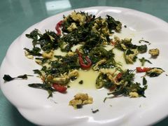 -煲来饱去冷水鱼