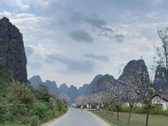 -钟山水墨田园