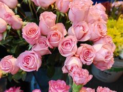 -循礼门鲜花花市(武汉循礼门店)