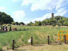 -红花山公园