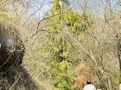 -天台山赤城山景区