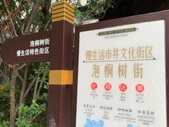 -泡桐树街