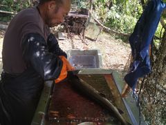 -姥家大锅台水库渔家