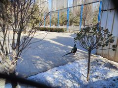 -森林公园(尖草坪区)