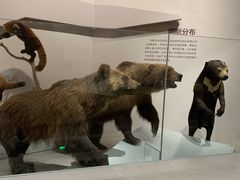 -长江文明馆(武汉自然博物馆)