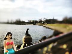 -美人鱼